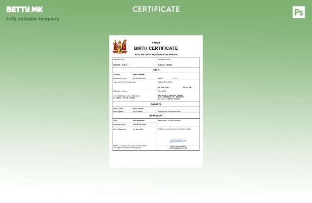 модерен стил на Хаваи извод од матична книга на родени Шаблон за Word и PDF